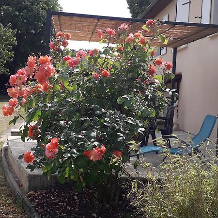 La Salamandre De Chazelles 16 Bed & Breakfast エクステリア 写真